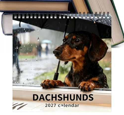 Calendrier Teckel 2027 Planificateur Chien Janvier À Décembre 2027