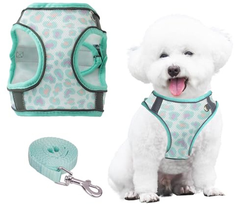 PawSailor Arnés de Perros Antitirones, Suave Ajustable Transpirable Reflecyante, Perro Arnes Chaleco Acolchado para Cachorros, con Estampado Floral, Cómodo para Caminar Verde XS
