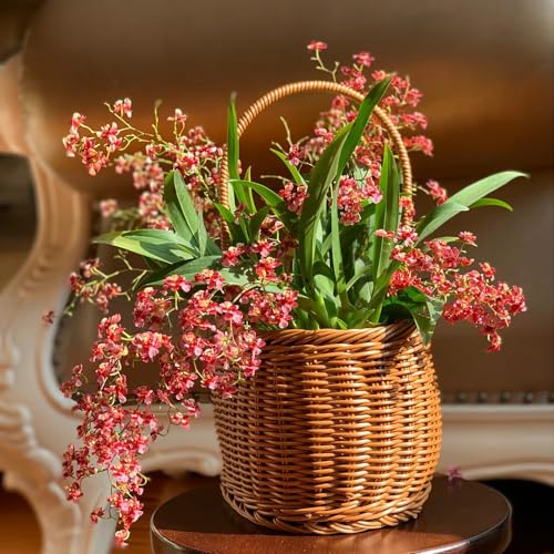 80 Pcs Oncidium Orchidee Samen, Topfpflanzen Draußen Winterhart, Frühlingsblumen (Oncidium Hybridum) Herbst Dekoration, Exotische Pflanzen Winterhart Blumendeko, Pflanzen Für Sonnige