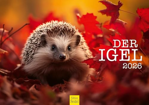 Edition Seidel Calendario premium 2026 El erizo formato DIN A3, calendario de pared, calendario de animales, animales, bosque, animales salvajes nativos