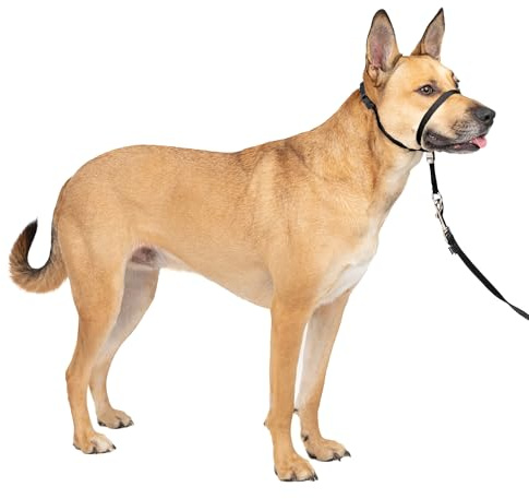 PetSafe Mjukt ledare halsband med tränings-DVD