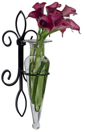 Danya B. Home Accent Wall Mount Fleur de Lis Flower Vase Sconce Made from Iron and Clear Glass, it Can be Displayed on The Wall Indoors or Perfect for The Patio