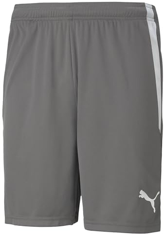 Puma Teamliga Shorts Pantalones cortos, Smoked Pearl, L Unisex adulto