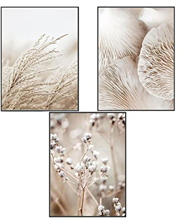 SWECOMZE 3er Premium Poster Set, Stilvolle Wandbilder, Boho Beige Natur Strand Pampasgras Kunstposter OHNE Rahmen, Print Bilder Wandposter Home Deko (Stil C,30 x 40 cm)