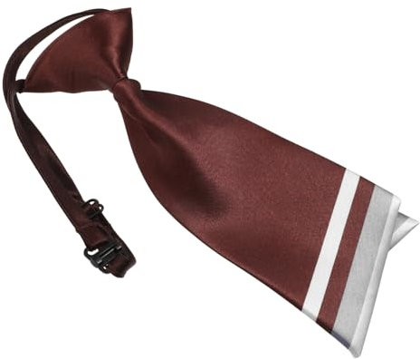 BESTYASH Berufskrawatte für Damen schals für damen schal für damen Büro Krawatte Formelle Veranstaltung Krawatte Frauen Krawatte binden Krawatten Hemd Krawatte Damenkrawatte Seidenimitat