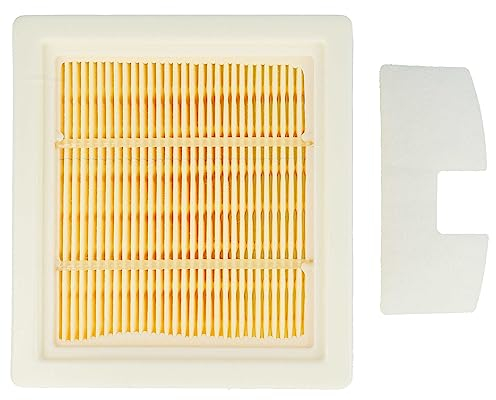 vhbw 2x filtro compatibile con Fox 350000066 aspirapolvere - filtro HEPA, pre-filtro