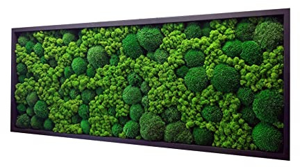 Cadre mural mousse stabilisée rectangulaire – décoration murale végétale naturelle intérieur – tableau végétal sans entretien pour salon bureau entrée – cadre métal (marron, 60 x 30 cm)