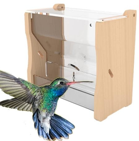 Alimentador de pollo – Alimentador de codornices sin residuos, taza de alimentación automática de agua | de alimentación para periquitos, jaula para mascotas, contenedor de comida accesorio