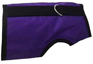 Kitty Holster Cat Harness – Secure Cat Harness for Walking, Soft Cotton Cat Accessories, Comfortable Fit, Strong Hook-and-Loop Closure, Made in USA – Purple, M/L