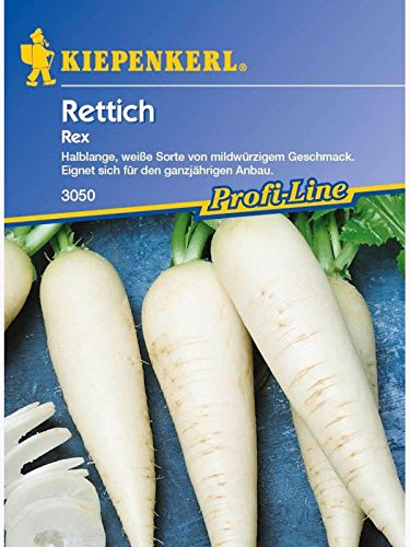 Kiepenkerl Rettich Rex