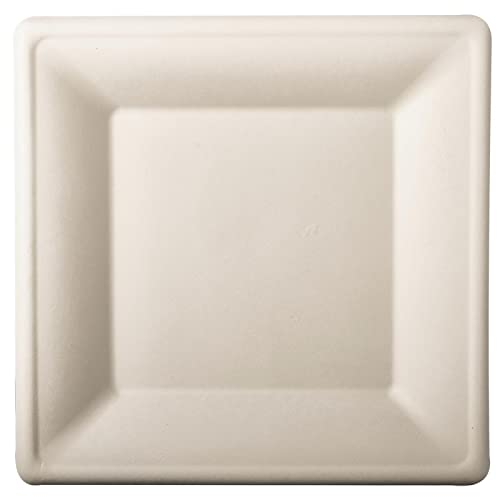 PAPSTAR 50 Teller, Zuckerrohr pure eckig 26 cm x 26 cm weiss Bio Einwegteller 82451