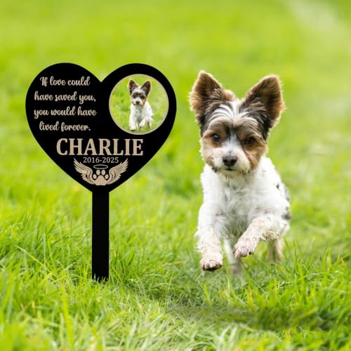 zouwii Piquet commémoratif personnalisé en forme de cœur avec photo – Marqueur funéraire personnalisé pour chien et chat, cadeau de condoléances pour jardin en métal avec ailes d'ange et dates pour