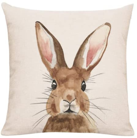 The Beach Stop Decorative Woodland Rabbit Easter Bunny Scatter Cushion Cover | Unique Design Home Decor | Gift Idea | 45x45cm 18x18” | Bunny Rabbit