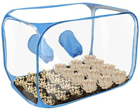 Pilzzucht-Set – Pilzzuchtbox, Fruchtkammer | Pilzzuchtbehälter, Transparentes Pilzzuchtzelt-Set, Pilzzuchtbox, Pilzzuchtbeutel Für Pilze Stillluftbox Für Die Pilzzucht Pilzzuchtzelt Pilzstillluftbox P
