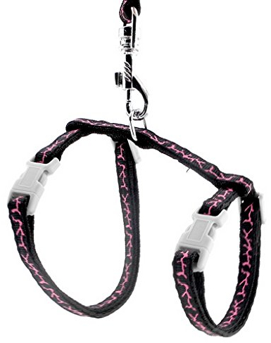 Ranphy Kleines Hunde-Halfter Geschirr Katze Basic Geschirr Haustier Halsband mit Leine Set Verstellbar für Walking Training Laufen Wandern Schwarz