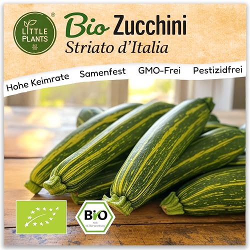 Little Plants BIO Zucchini Samen 10 Zucchinisamen Stiato ditalia Gemüsesamen Samenfest für Gemüsegarten Gemüse Samen Hochbeet Samen für Küche, Balkon und Garten
