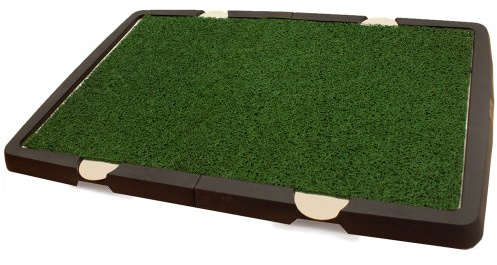 Spotty Indoor Potty Pad, House Training Pet Puppy Dog Artificial Grass Turf Pee Mat