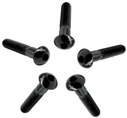 RISON-Titanium 5 Pezzi Viti a Testa Bombata in Titanio con Esagono Incassato M5x25mm, Viti a Brugola Bulloni in Titanio, Vite a Testa Semicircolare Vite a Bottone a Testa Tonda per Bici Moto