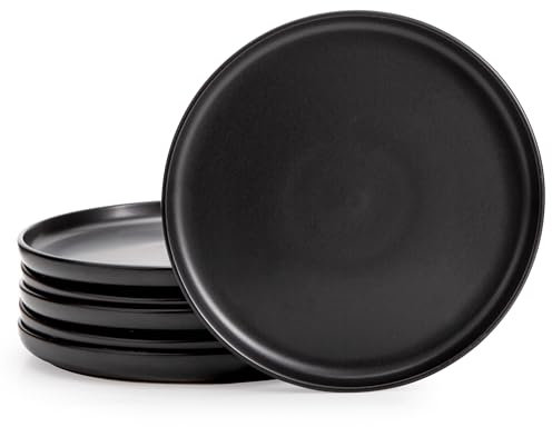 Cutiset 10.5in Matte Dinner Plate, Set of 6, Black