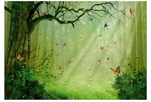 Fleece fototapet barnrum skog fjäril fantasy flickor barn babyrum barntapet tapet tapet fibertapet motiv tapeter färdiga att monteras – inkl. klister (368 x 254 cm – 4 banor)