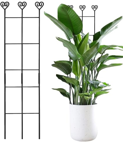 Grattugia per piante in vaso, aste in metallo antiruggine regolabili, 83 x 20 cm, per piante rampicanti, filodendro, balcone, giardino, terrazza