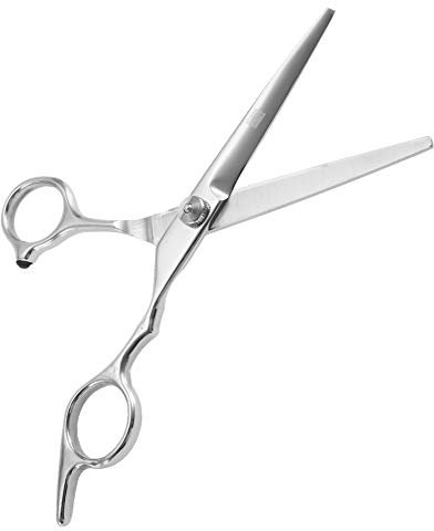 Forbici da Parrucchiere Professionali, Forbici per Tagliare e Sfoltire i Capelli da 6,0 Pollici, Ideali per la Famiglia, il Salone e il Barbiere (Forbici da taglio)