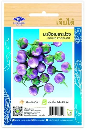 Aubergine Thaï Violette, Round Eggplant, Graines de légumes – Sachet de 200 Graines, Aubergines Thaïlandais CHIA TAI