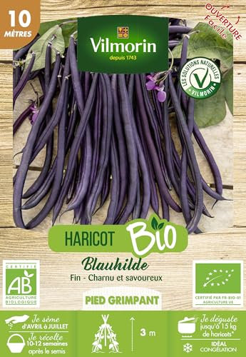 VILMORIN Haricot Blauhilde bio Vilmorin 10m