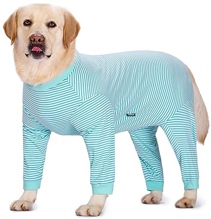 Axcimond Tutina per il Recupero del Cane - Tutina a Manica Lunga con Cerniera, Bodysuit Dopo l'Intervento Chirurgico, Tutina Chirurgica, Protettore per Ferite Post Spay/Neuter, Camicia Medica per