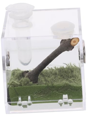 Boîte transparente en acrylique pour l'élevage d'insectes - Durable et légère - Facile à nourrir - Design compact pour les amateurs de reptiles