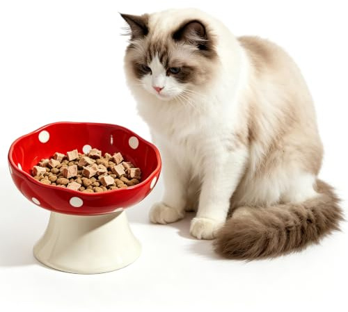 Cuenco para gatos elevado, de cerámica, con soporte, en forma de seta, cuenco plano para gatos, diseño de 15°, comedero para gatos, comedero de agua para gatos y perros pequeños (rojo)