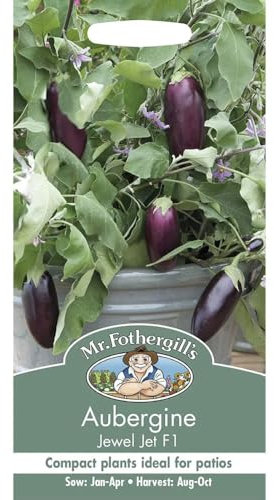 Mr Fothergill's Aubergine Jewel Jet F1 Vegetable Seeds