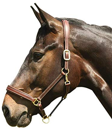 CATAGO Lederhalfter - braun - Vollblut