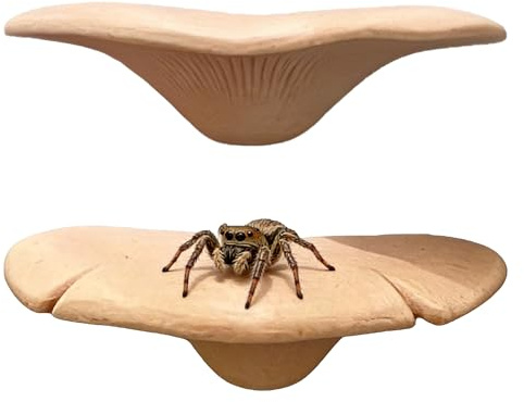 HAOBIN Set med 2 spindelsvampar magnetisk svampformad hylla hoppande spindelformad hylla för geckos, ödlor, grodor, boskapsmiljö, tusenbenta ås