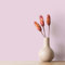 K&L Wall Art Seidenmatt Wandfarbe Pinke Innenwandfarbe modern Wandschutz Anstrich 5Liter Farbe