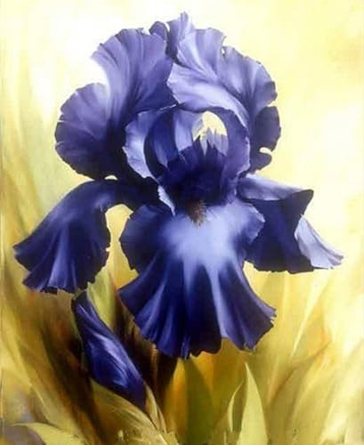 Bulbi di Iris | Naturali, Sereni,Eleganti, Freschi, Delicati, Robusti, Versatili, iris bulbi-5 Bulbi-A