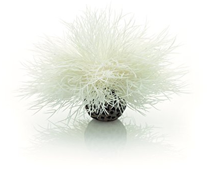 biOrb 46078 Aquarium Nénuphar, blanc - décoration élégante d'aquarium, plante aquatique détaillée pour aquariums d'eau douce et d'eau de mer