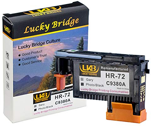 Lucky Bridge HP72 PB/G C9380A wiederaufbereiteter Druckkopf mit neuen aktualisierten Chips, kompatibel mit HP Designjet T610 T620 T770 T790 T1100 T1120 1200 T1300 T2300 (72 C9380A)