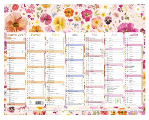 Exacompta - 34315E - Blomkalender med akvarellillustrationer - 7 månader per ansikte - 29,5 x 22 cm - 2024