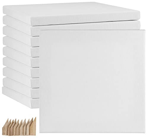 HAKZEON 10 Pack 20 x 20 cm Stretched Blank Square Canvas, Artist Blank Canvas Frame Stretcher with 80 Tightening Keys, White Stretched Canvas for Acrylic Painting, Oil Painting, Wet and Dry Art Media