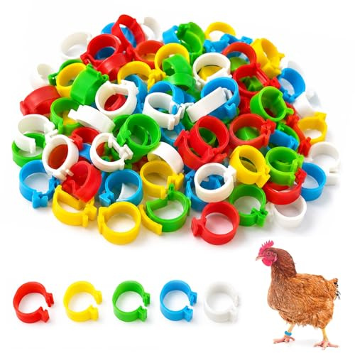 HYRKOTW 100 Pezzi Regolabile Anelli Colorati In Plastica, Anelli Riutilizzabili Per Polli, Galline, Piccioni, Zampe Di Pollo, Uccelli, Pappagalli, Pappagalli