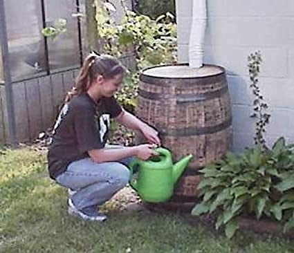 White Oak Whiskey Barrel Rain Barrel-Brass Spigot and Overflows