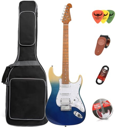 E-Gitarre Anfänger Anfänger Erwachsene Praxis E-Gitarre Fortgeschrittene Performance Set Professionelle Grade-D210 (Weiß-Blau)