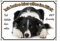 Petsigns wunderschönes Hundeschild Border Collie - Metallschild Premiumqualität - rostfrei und beständig, DIN A4