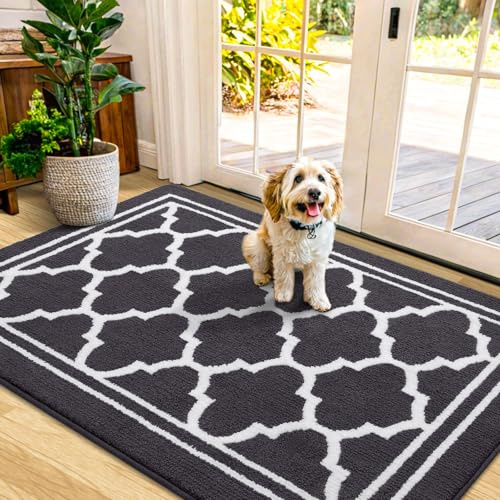 Buganda Indoor Door Mat, Dirt-Resistant and Absorbent Doormat, Anti-Slip, Low Profile Floor Mats for Inside Entryway, Front, and Back Door Entrance (48x32 Inches, Dark Grey)