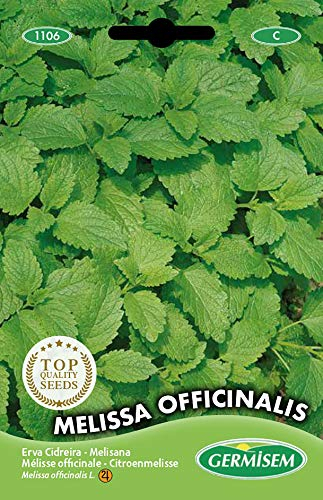 Germisem Zitronenmelisse MELISSA OFFICINALIS