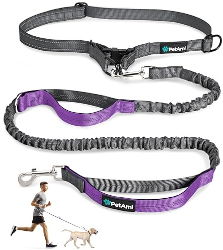 PetAmi Hands-Free Dog Leash for Walking, Running & Hiking, Heavy Duty Bungee Waist Leash with Dual Padded Handles, Adjustable Reflective Belt for Small, Medium & Large Dogs up to 150 lbs, Purple