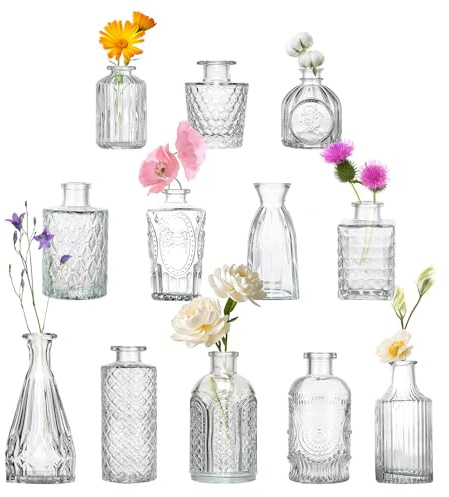 DOKKOME Set di Piccole Vasi 12PCS Vaso da Tavolo in Vetro Mini Vasi Decorativi Vaso da Fiori Set di Mini Vasi Decorazioni per Matrimonio Fiori Decorazioni per la Casa Matrimonio Centrotavola per Feste