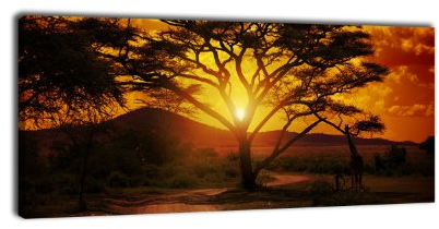 wandmotiv24 Leinwandbild Panorama Nr. 56 Afrika Sonnenuntergang 100x40cm, Keilrahmenbild, Bild auf Leinwand, Savanne, Giraffe, Abendrot