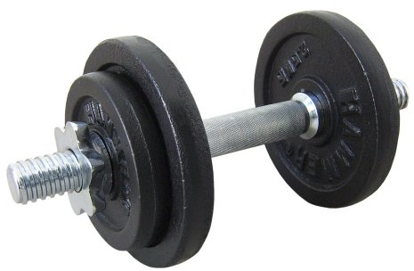 Finnlo Iron Dumbbell Set - Black, 10 kg